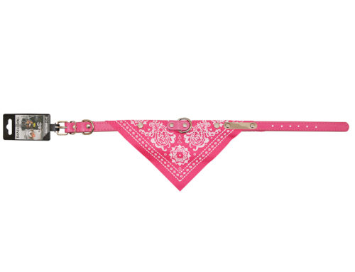 Bandadog rose