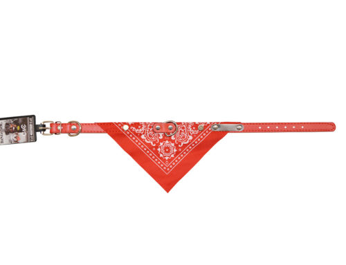 Bandadog rouge