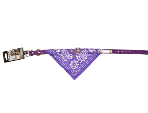 Bandadog violet